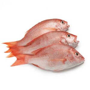 fresh fish